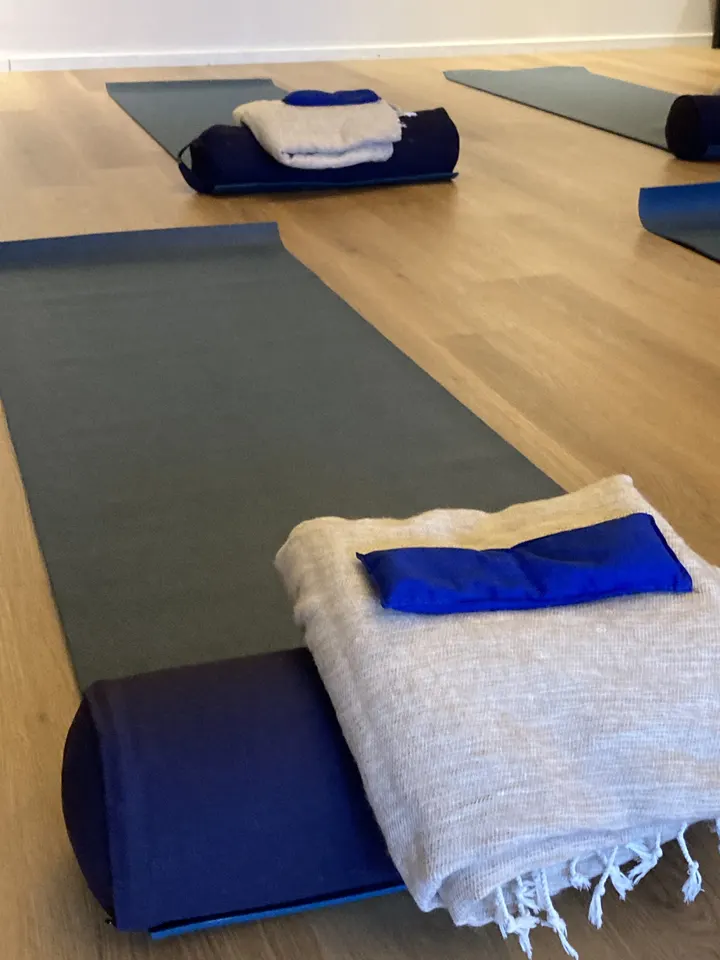 Birds2Buddha yoga Roosendaal — Yoga in Kroeven, Roosendaal