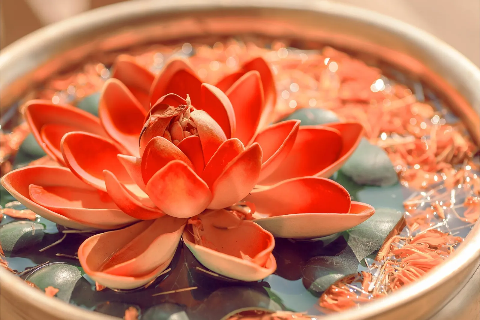 Anahata Yoga Münster — yoga-studio i Münster — 2