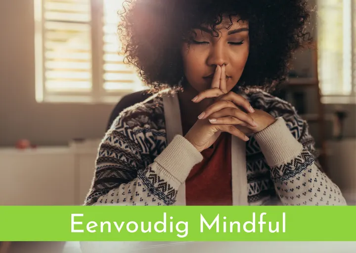 Mindfulness-Rotterdam — meditatie-studio in Prins Alexander, Rotterdam — 3