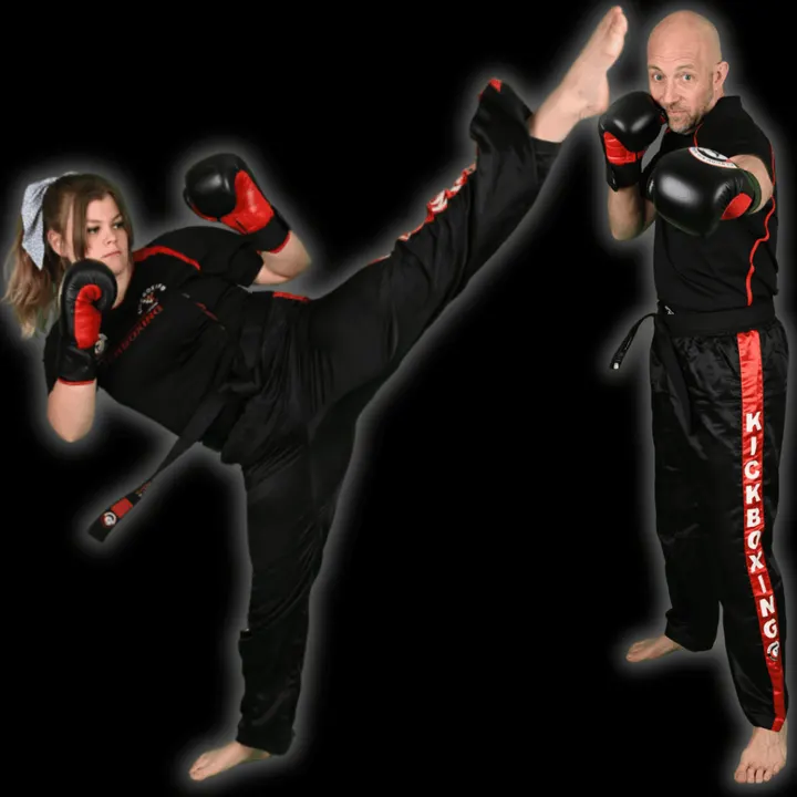 Pro Martial Arts Schools St Ives — Martial Arts in Huntingdon