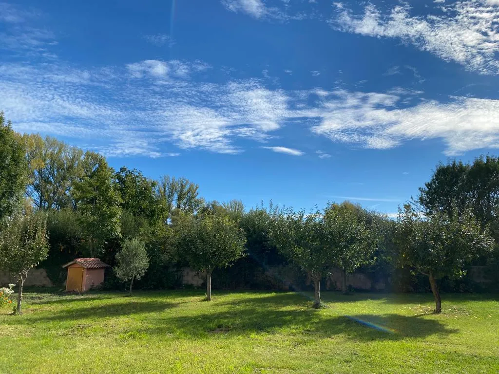 Centro de Yoga y Meditación — yoga-studio en Villarrodrigo de las Regueras — 3