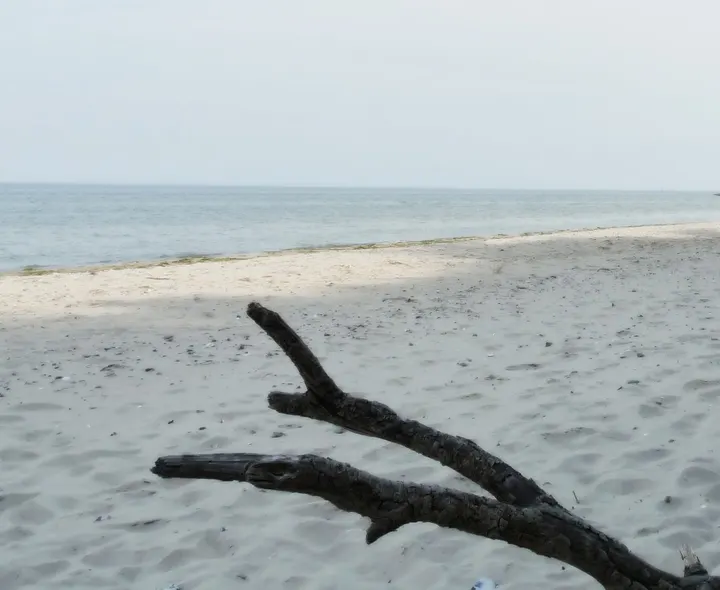 Balanced Inside • Shiatsu und Yoga in Hamburg & Yoga Retreats — yoga-studio in Eilbek, Hamburg — 3