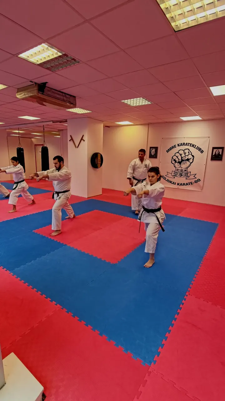 Møre Karateklubb — kampsport-studio i Slinningen, Ålesund — 2