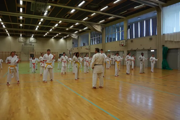 Møre Karateklubb — martial arts-studio i Slinningen, Ålesund