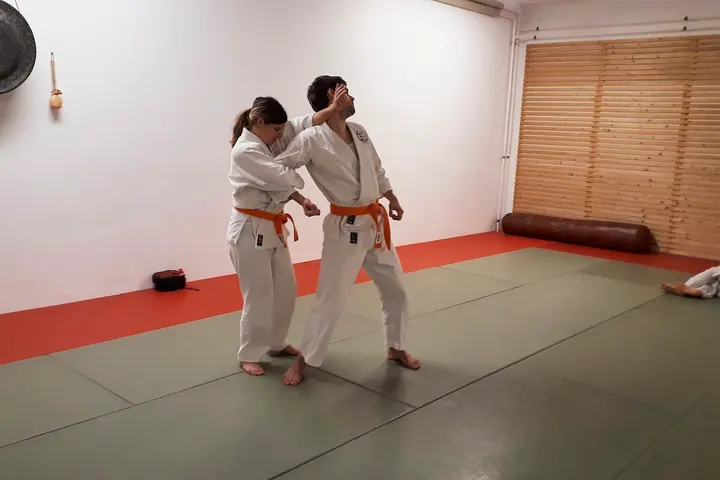 Budokan Regensburg e.V. — kampfsport-studio in Regensburg — 3