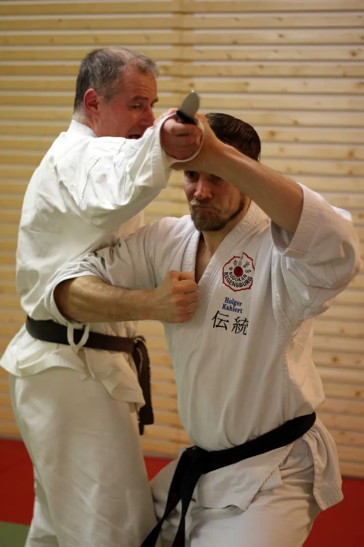 Budokan Regensburg e.V. — kampfsport-studio in Regensburg — 4