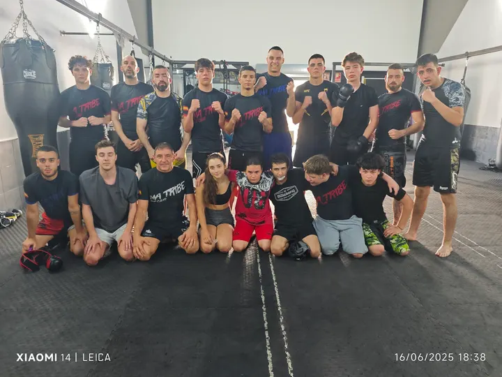 MMA TRIBE GYM — Artes marciales en Las Rozas de Madrid