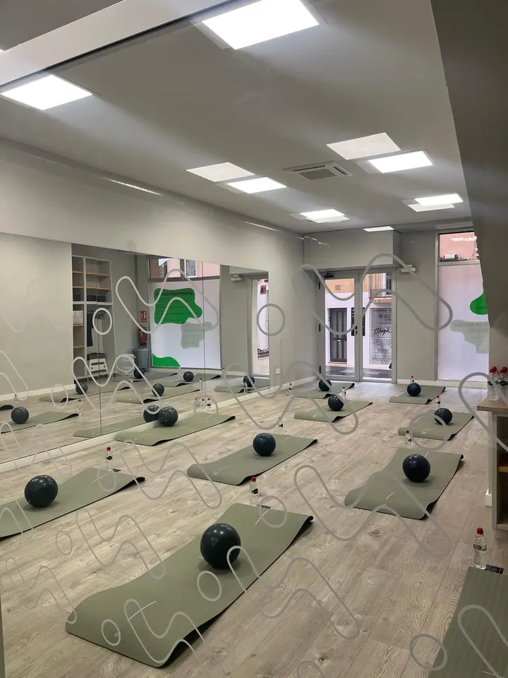Mou-te Fisioteràpia — entrenamiento personal-studio en Reus — 4