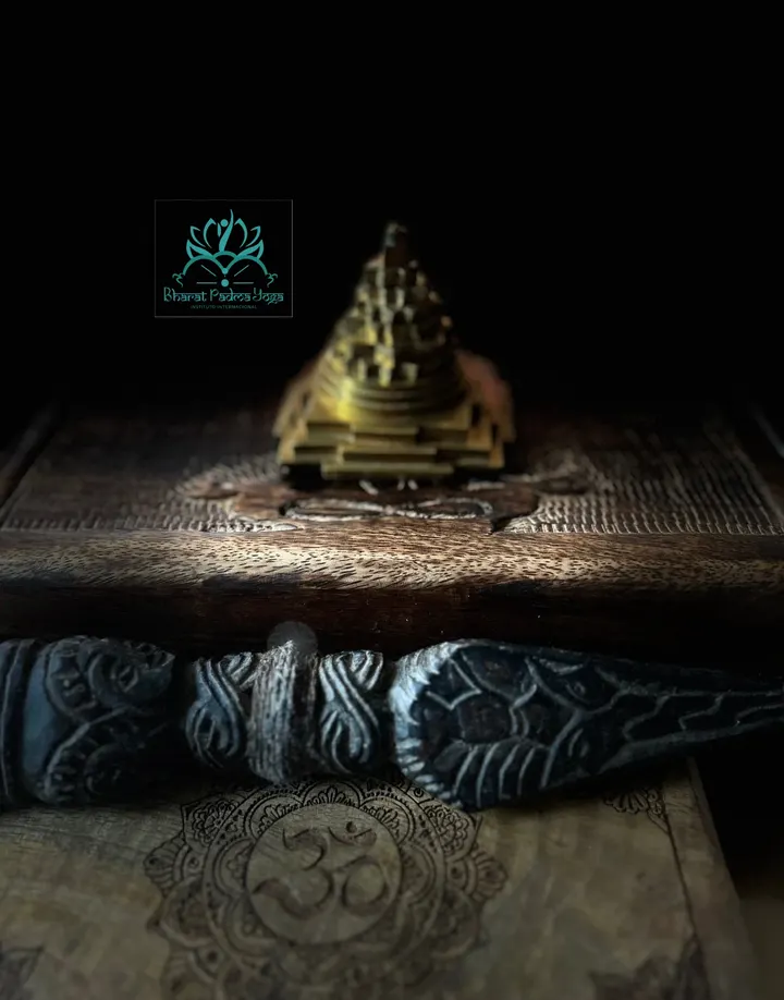 Bharat Padma Yoga — yoga-studio en Guadalajara — 5
