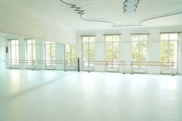 Espace Des Arts Chorégraphiques — danse-studio à Lyon — 5