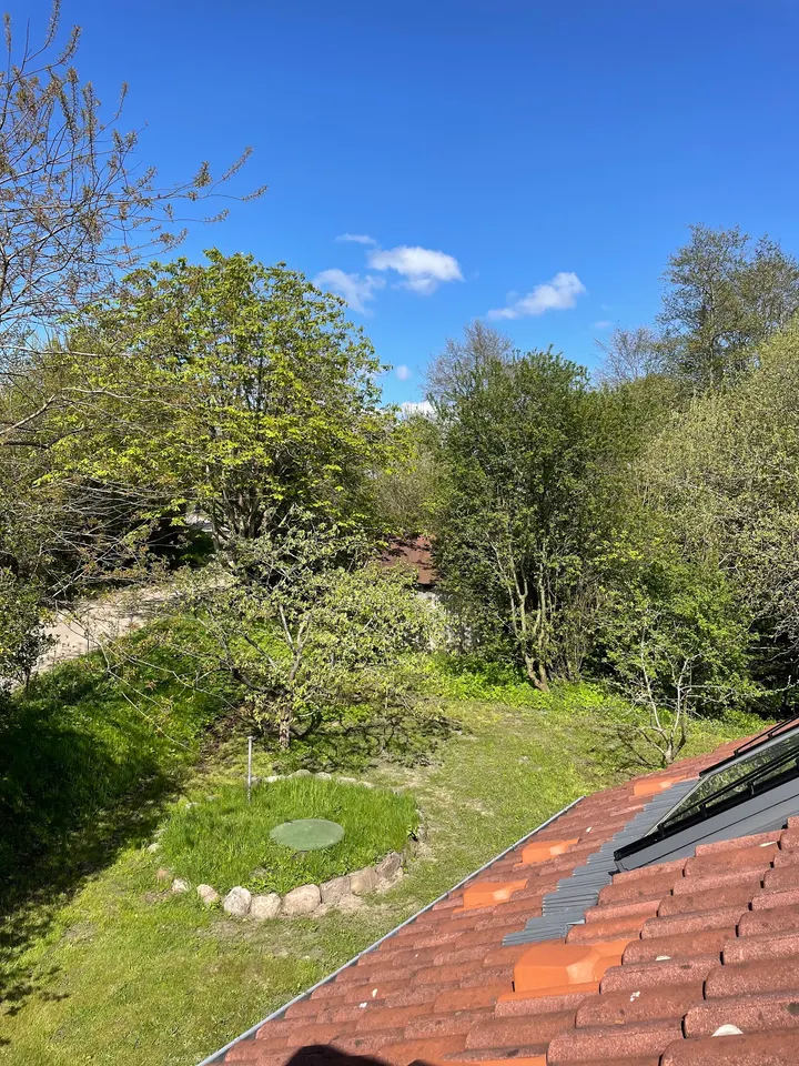 Diamantweg Buddhismus Nindorf — meditation-studio in Nindorf — 3
