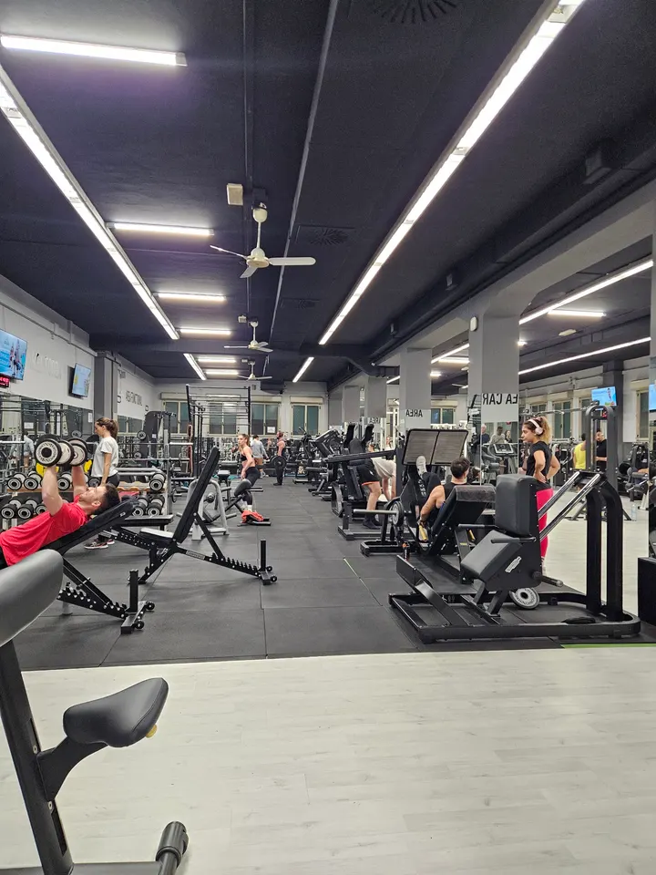 Atlas Palestra — palestre-studio a Bologna — 4