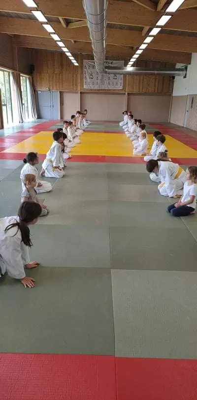 Judo Club Le lion d'Angers — arts martiaux-studio au Lion-d'Angers — 2