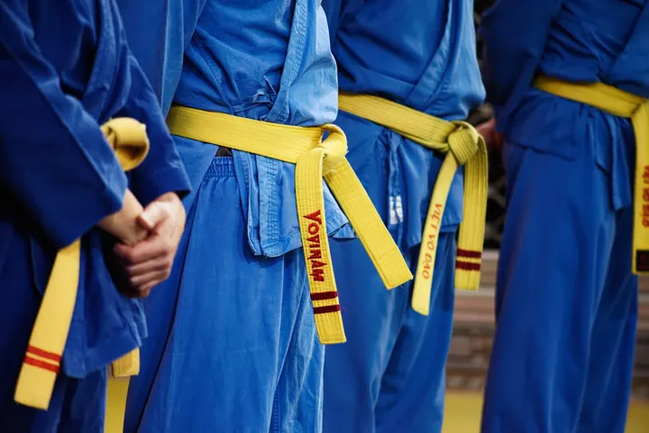 Vovinam Rosny — arts martiaux-studio à Rosny-sous-Bois, Paris — 2