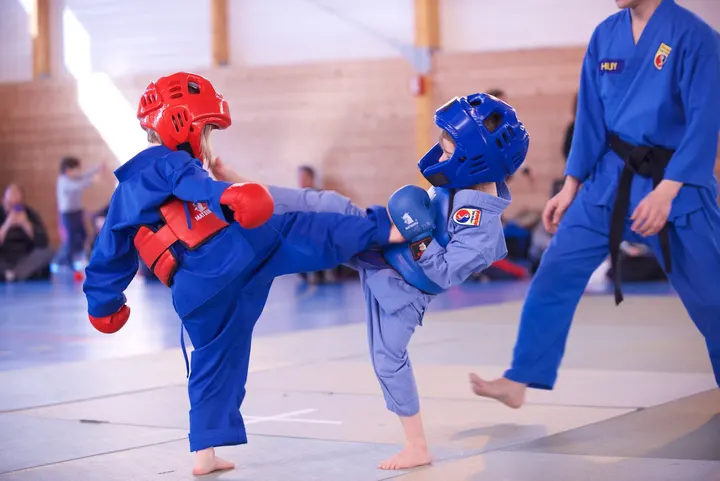 Vovinam Rosny — Arts martiaux à Rosny-sous-Bois