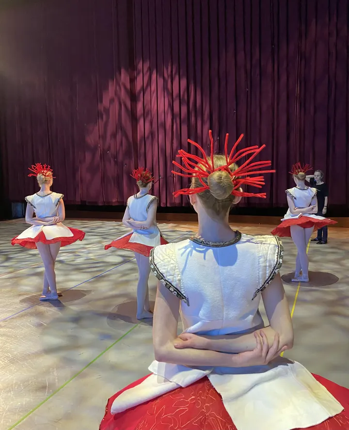 Danseakademi City Ballet — dans-studio i City Campus, Odense — 3