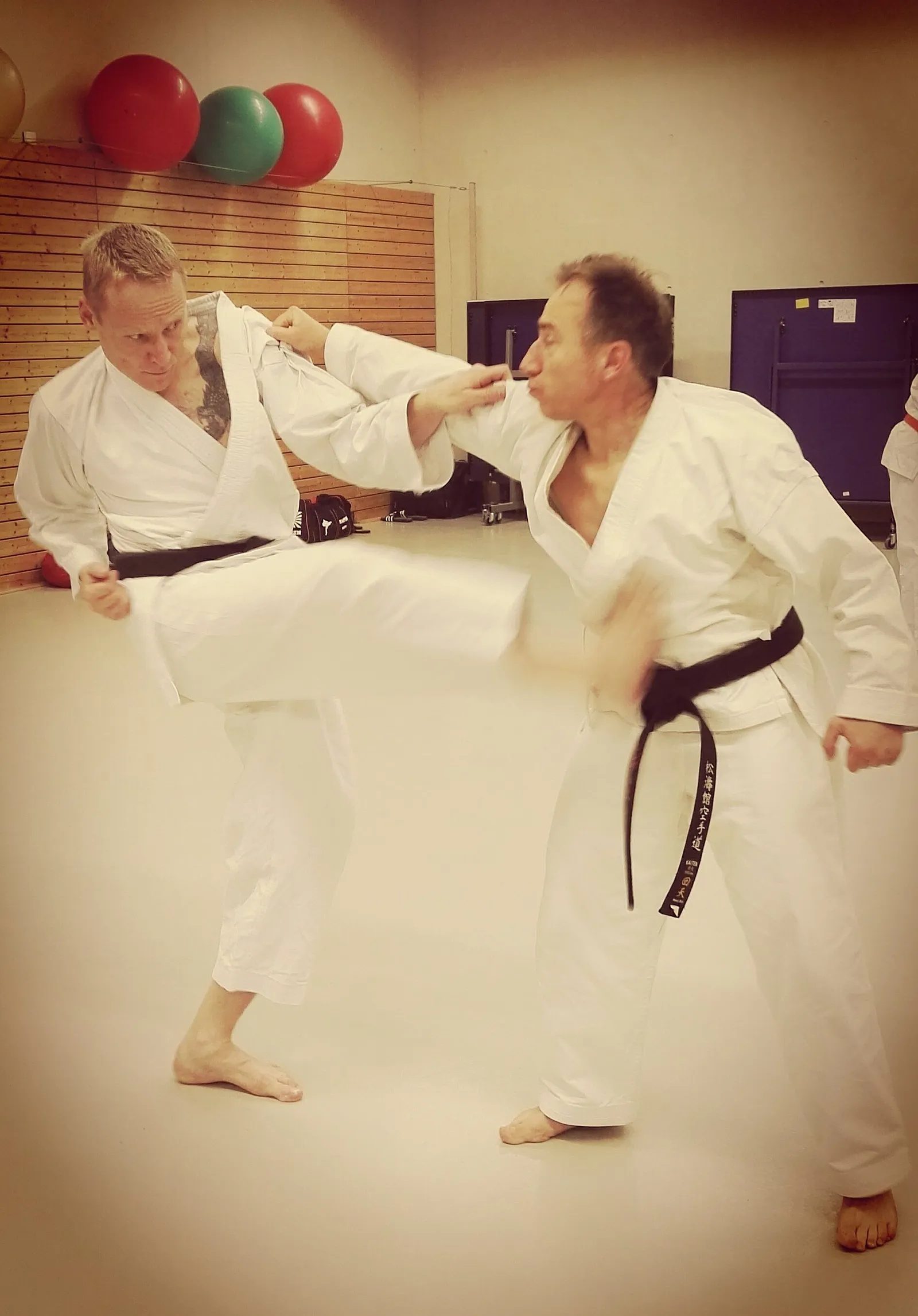 Mizu Nagare — kampfsport-studio in Kaditz, Dresden — 3