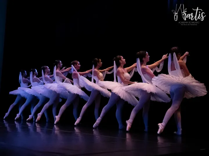 Artis Bailado — dança-studio em Vila Nova de Famalicão — 3