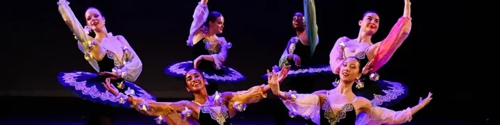 Balletstudio Sharon Kleinegris — Dans in Centrum, Den Haag
