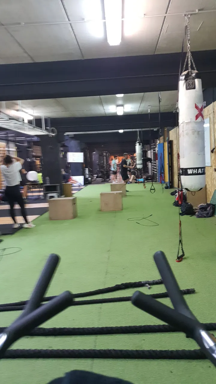 Lobero Fit — Estudio de fitness en El Ejido