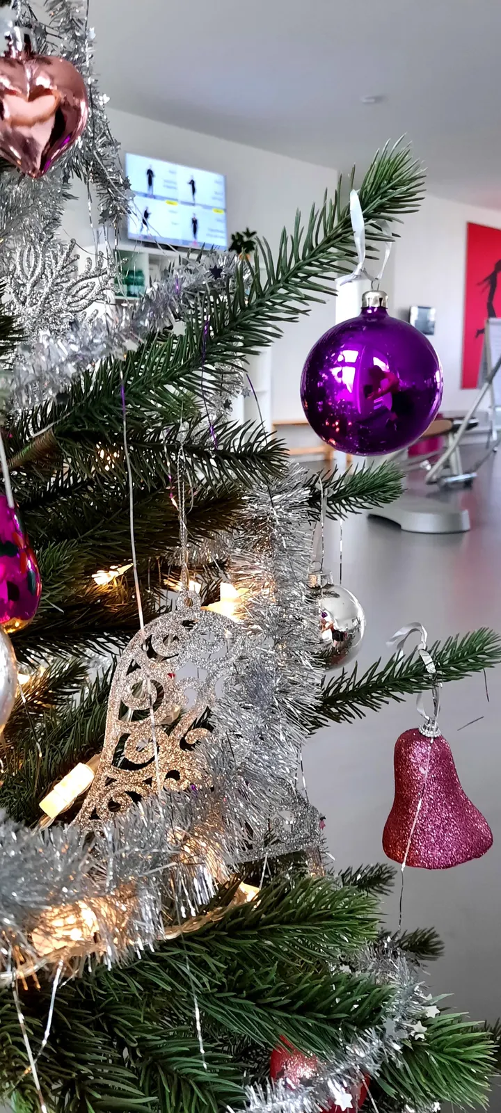 MeinSportclub Schwetzingen — fitnessstudio in Oststadt, Schwetzingen — 2