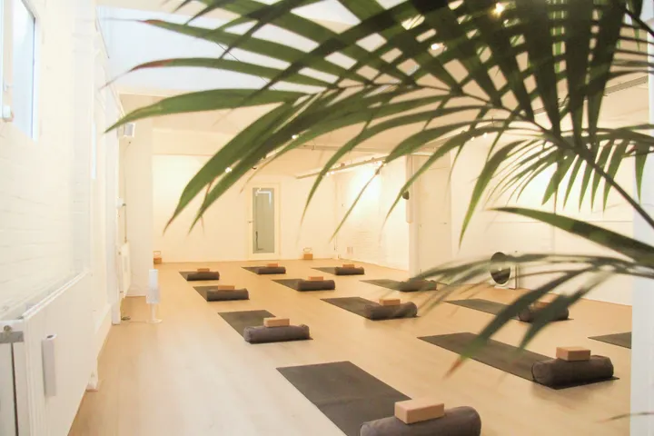 HoliBody — Yoga in Hilversum