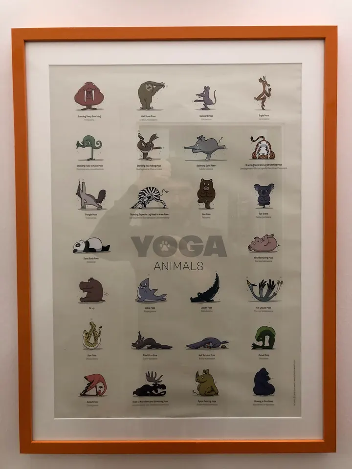Yoga Trieste — yoga-studio a Borgo Teresiano, Trieste — 2