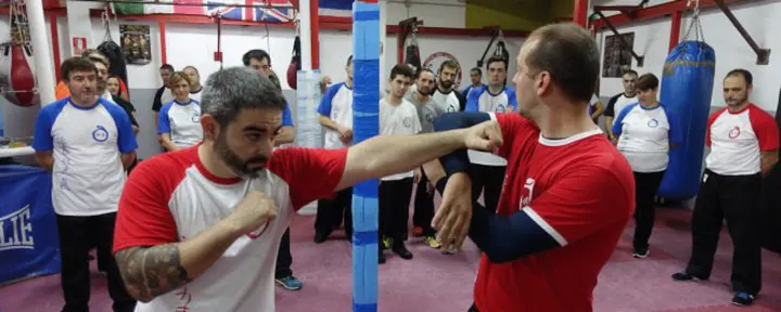 Wing Chun Kung Fu School Fuenlabrada — martial arts-studio i San Gregorio, Fuenlabrada