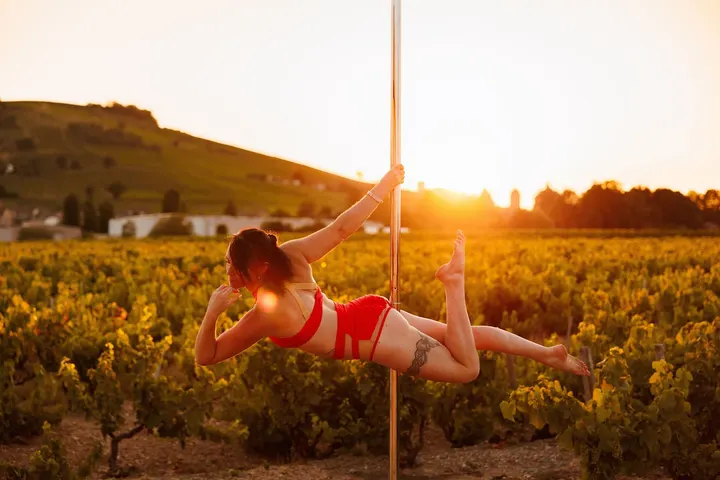 Phoenix Pole Studio — pole fitness-studio à Beaujeu — 3