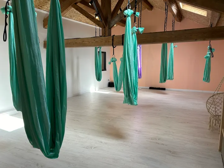 Phoenix Pole Studio — pole fitness-studio à Beaujeu — 5