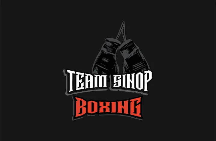 Team Sinop Boxing e.V. — Kampfsport in Sterkrade, Oberhausen