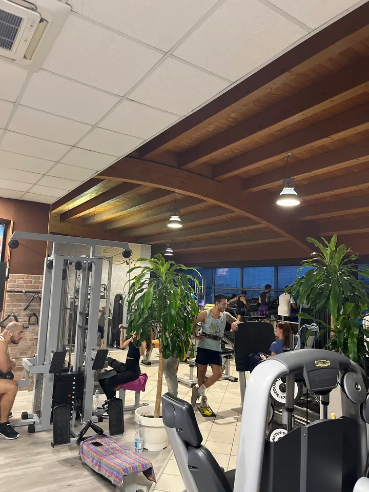 Palestra Up-Town Fidenza — palestre-studio a Fidenza — 5