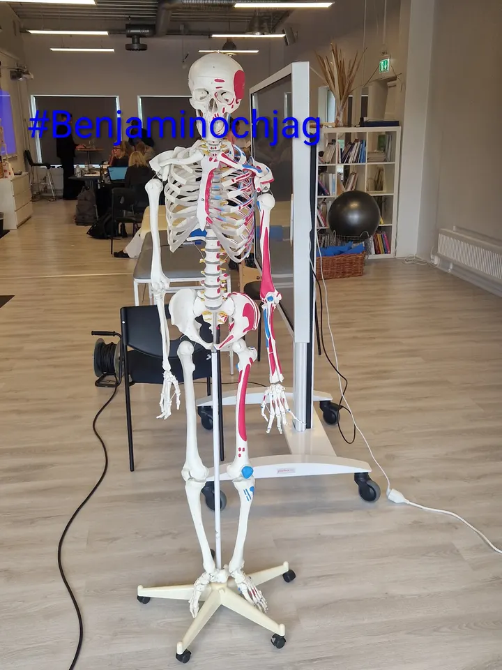 OptimumKliniken — PT-studio i Borås