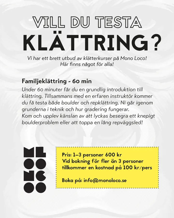 Mono Loco Falun — klättring-studio i Falun — 3