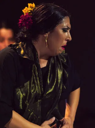 Centro Internacional de Flamenco Jesús Ortega — baile-studio en Casco Antiguo, Badajoz — 3