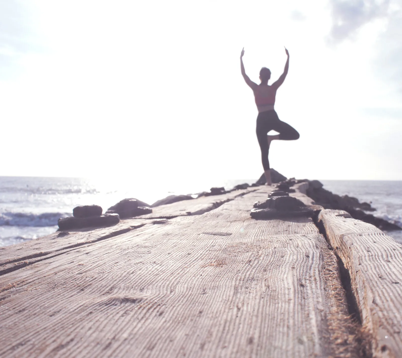 YogaWerkstatt Dresden — yoga-studio in Blasewitz, Dresden — 2