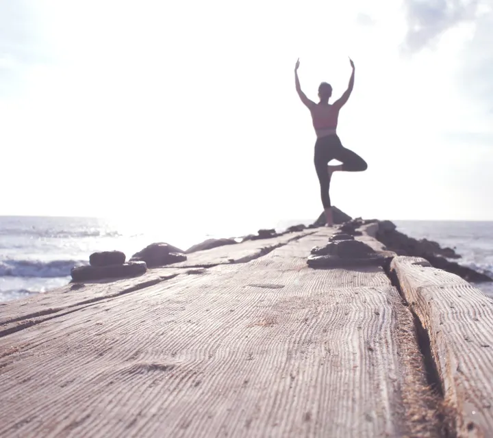 YogaWerkstatt Dresden — yoga-studio in Blasewitz, Dresden — 2