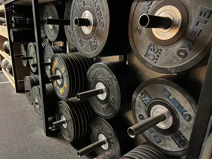 Albatross Athletics GmbH — crossfit-studio in Regensburg — 5