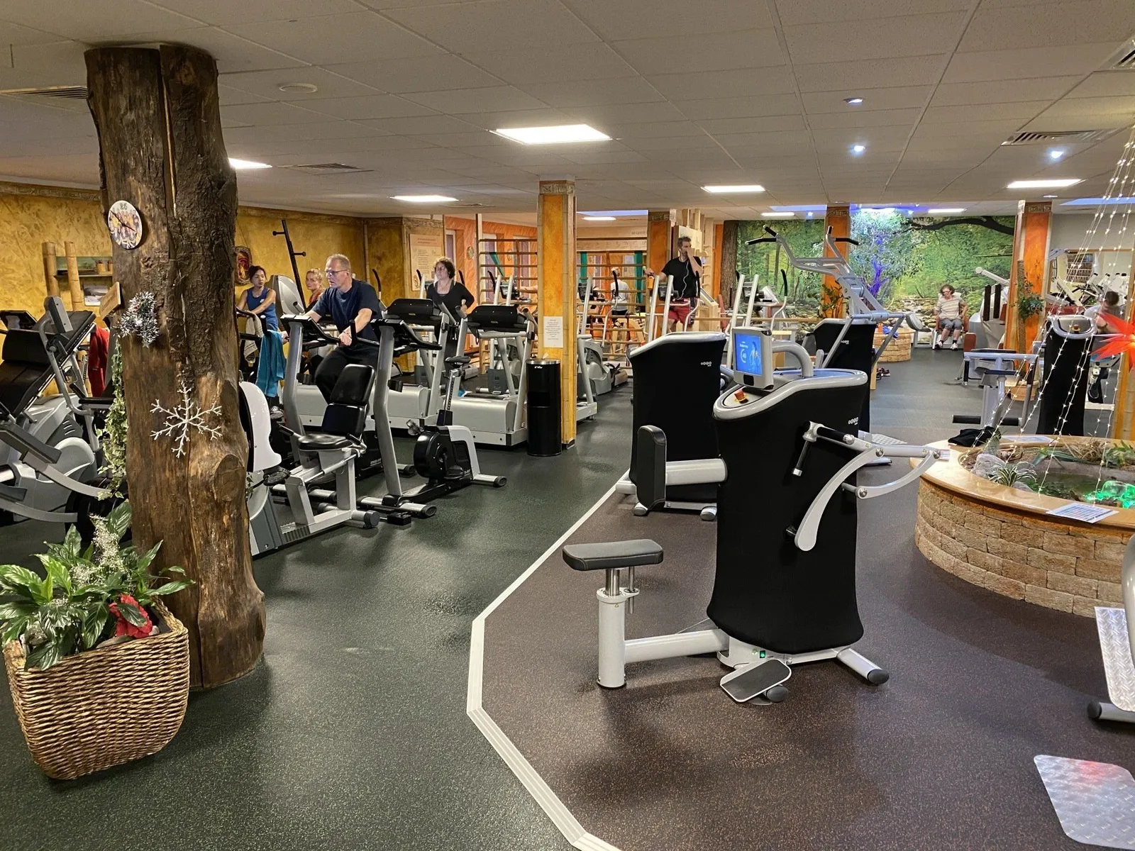 Rückenfitness & Sport Studio Pro Body — träningsstudio i Kassel — 4