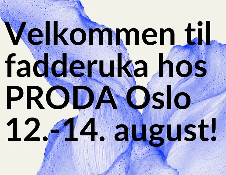 Proda-Profesjonell Dansetrening — dans-studio i Grünerløkka, Oslo — 2
