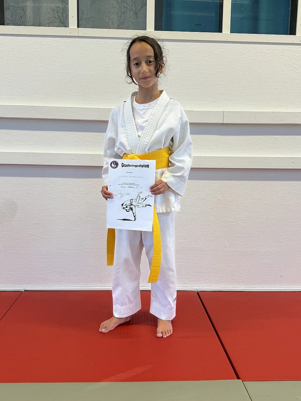 Skövde Judoklubb — kampsport-studio i Skövde — bild 2
