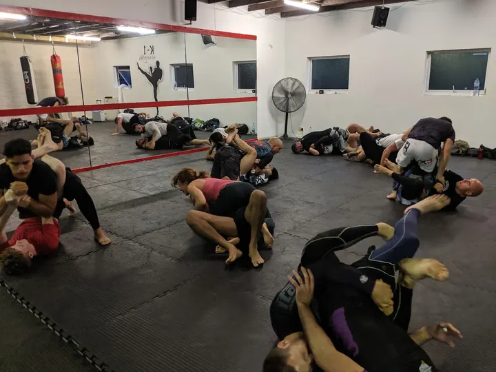 Animal Gym — fitness studio in High Leigh Garden Village, Hoddesdon — 2