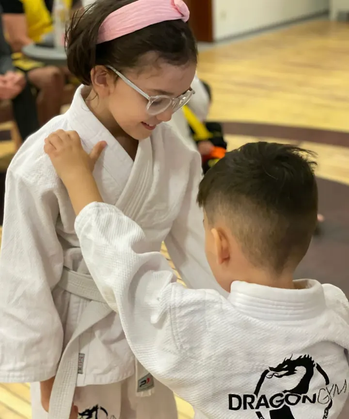 Dragon Gym | Kampfkunstschule Veitshöchheim — kampfsport-studio in Gadheim, Veitshöchheim — 2
