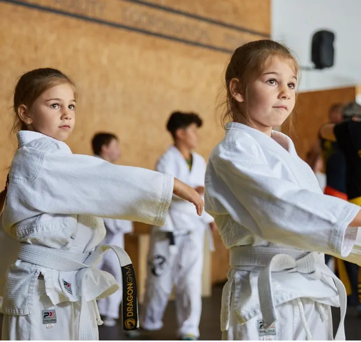 Dragon Gym | Kampfkunstschule Veitshöchheim — kampfsport-studio in Veitshöchheim — 3