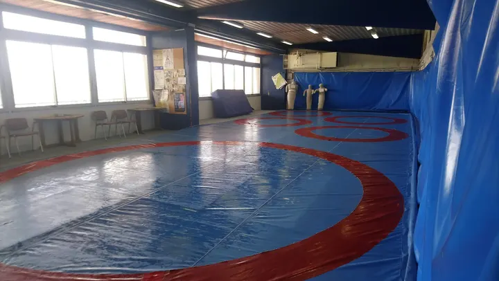 Annecy Lutte Club — arts martiaux-studio à Annecy — 2