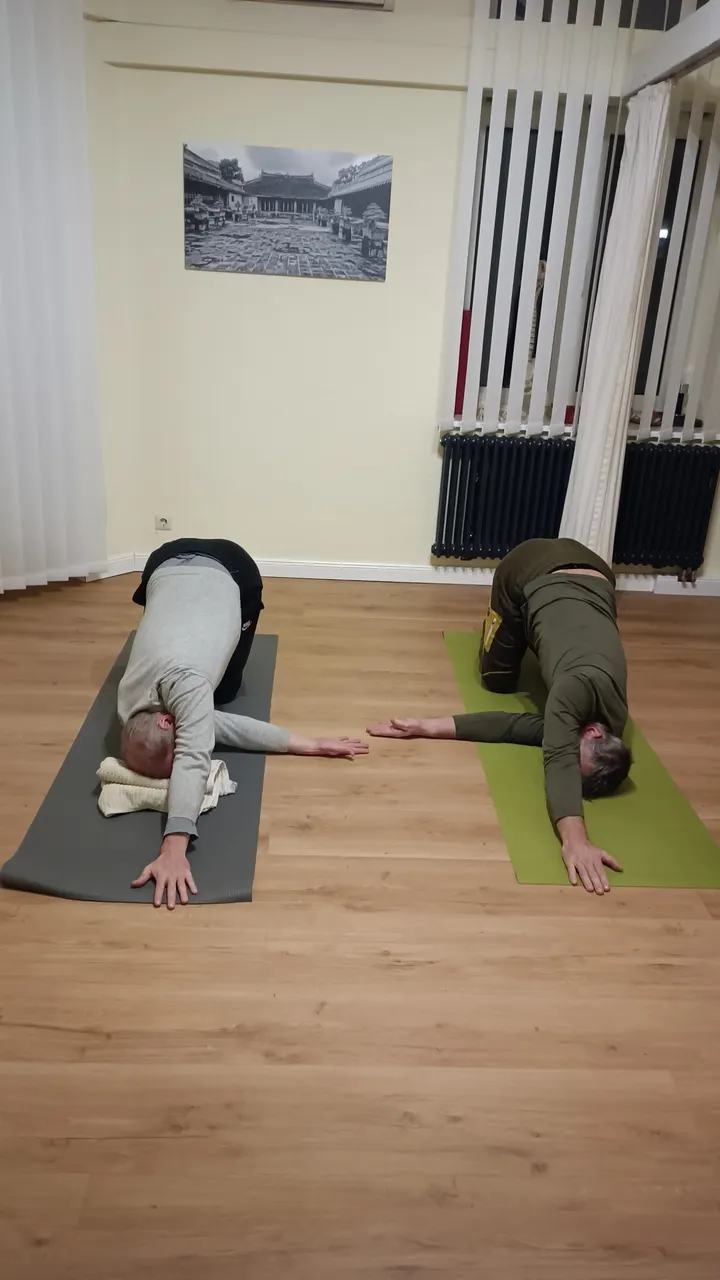 Niramaya Yoga — yoga-studio in Niedersedlitz, Dresden — 2