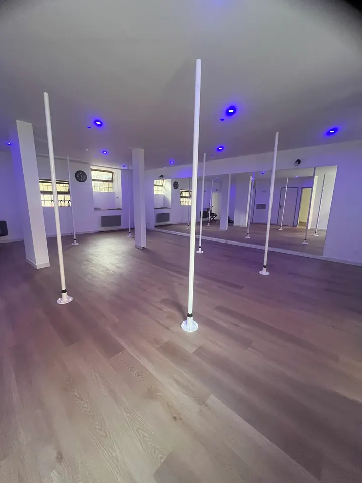 PoleZenStudio — danse-studio à Miribel, Lyon — 2