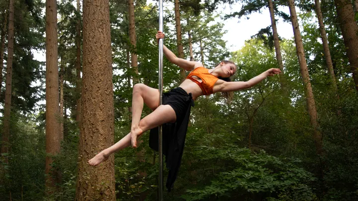 Pole Jungle Aerial Gym — sportschool-studio in Nudepark Rijnhaven en Industrieweg, Wageningen — 2