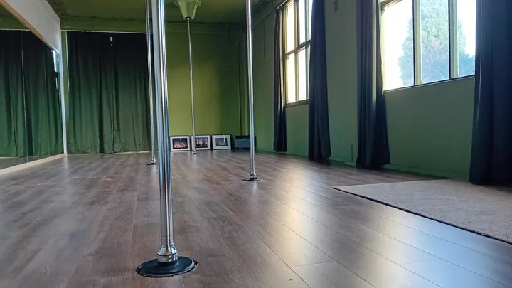 Pole Jungle Aerial Gym — sportschool-studio in Wageningen — 3