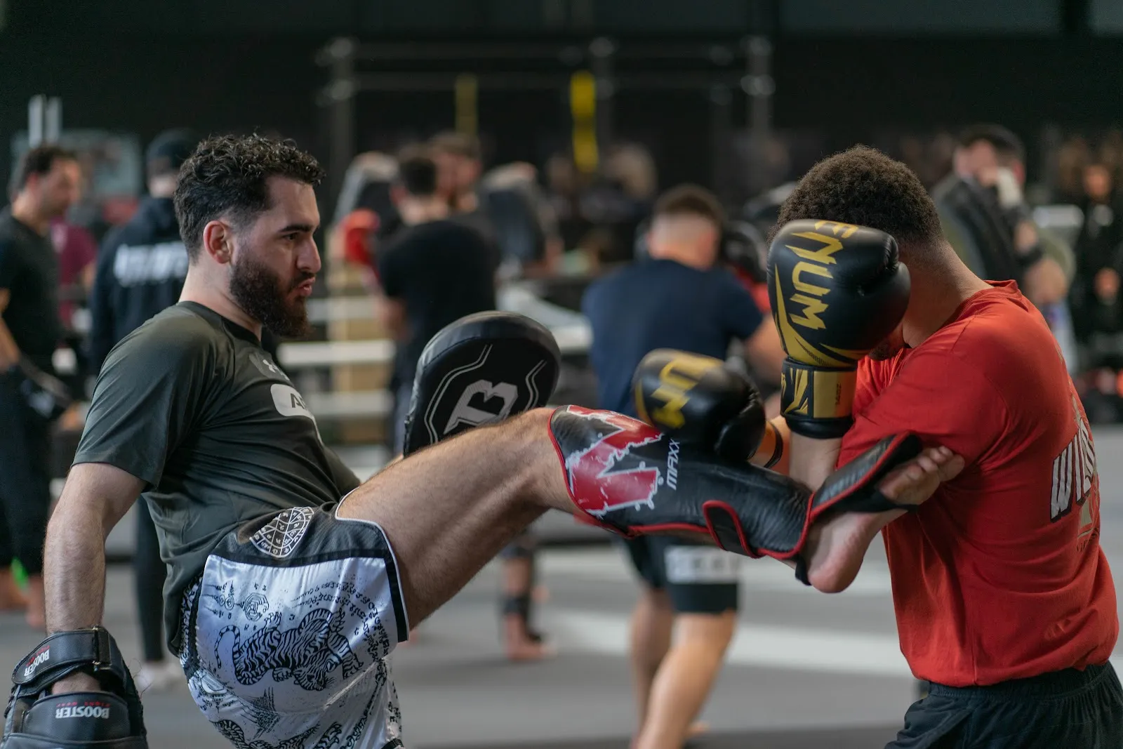 NFT Gym Willich — mma-studio in Willich — 3